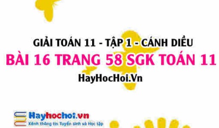 Giải bài 16 trang 58 Toán 11 tập 1 SGK Cánh Diều